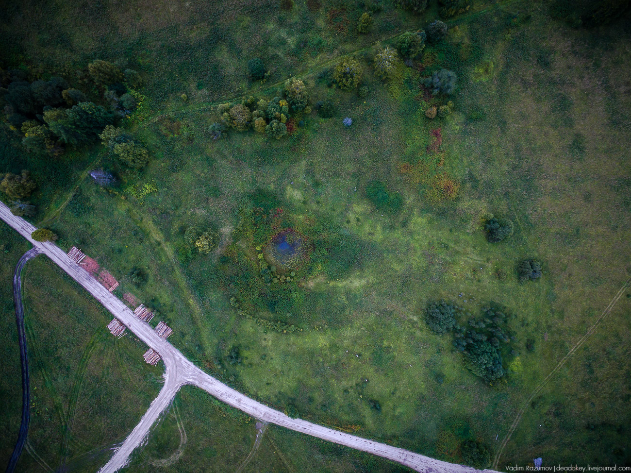 Красная Ляга, Каргопольский район, Архангельская область