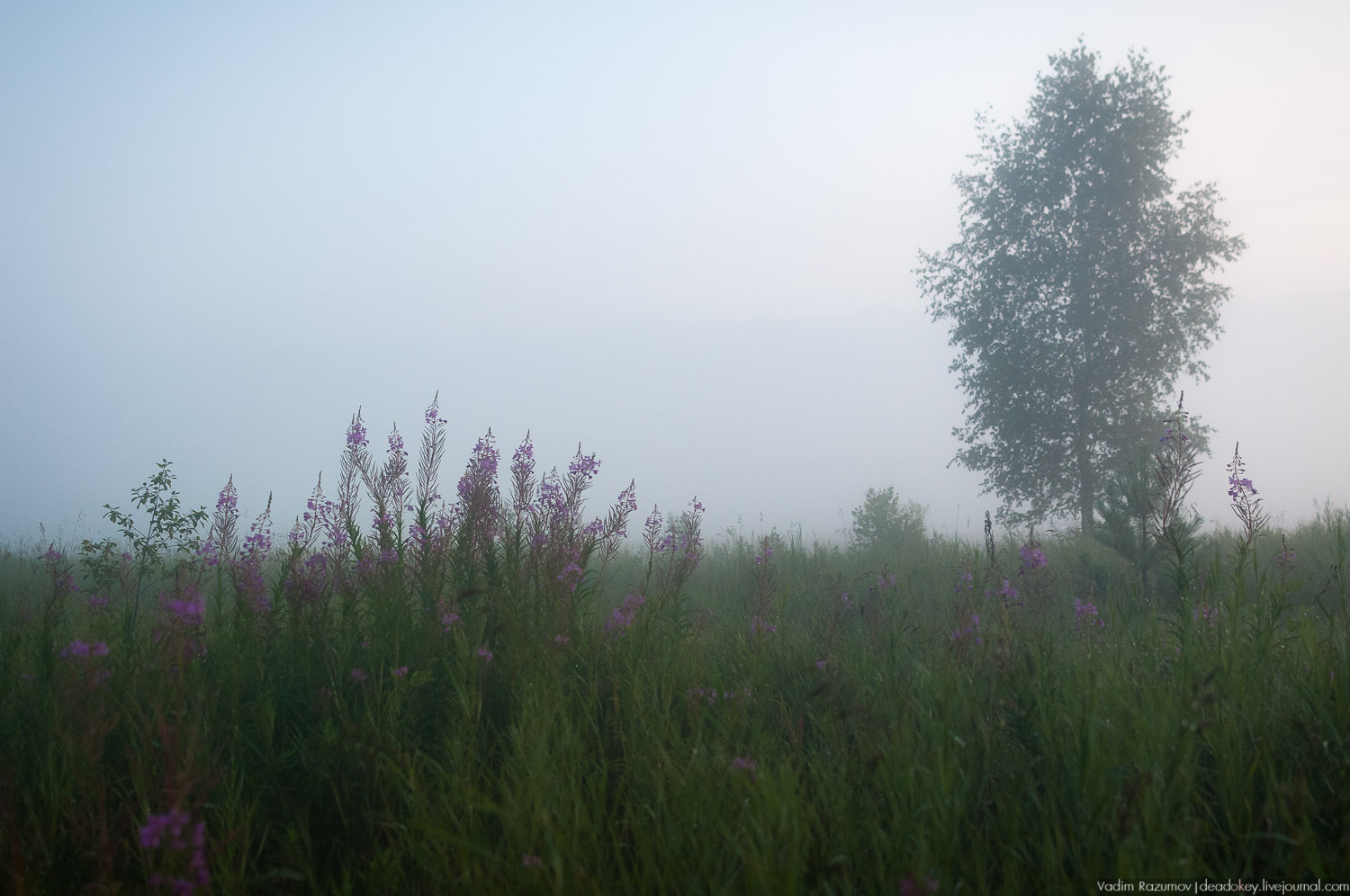 Закат, туман, Стромынь
