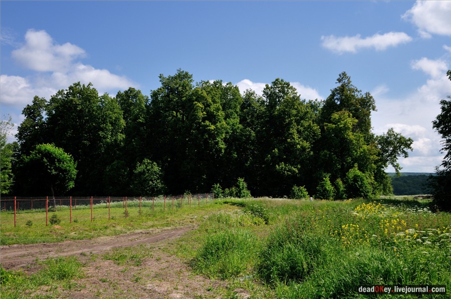 усадьба Петровское (Большепетровское)