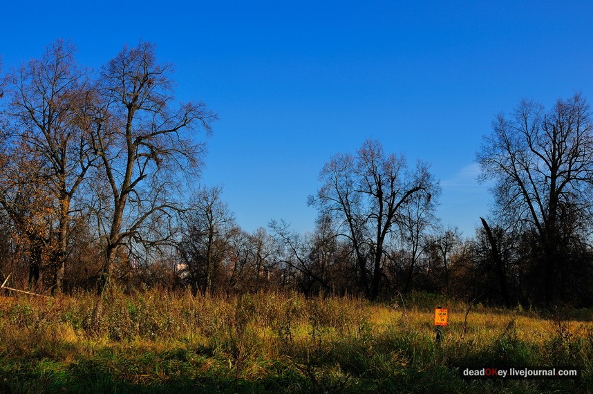 усадьба Остров
