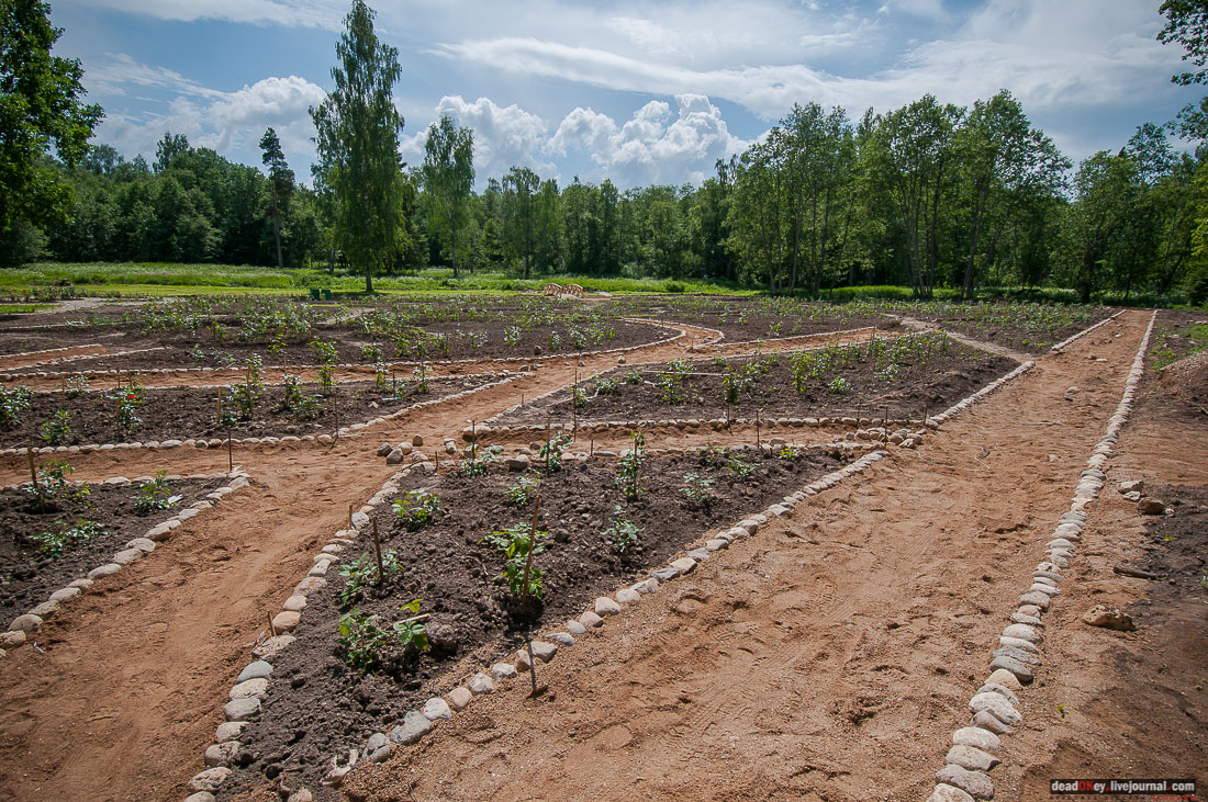 усадьба Знаменское-Раек, Тверская область, Новоторжский район