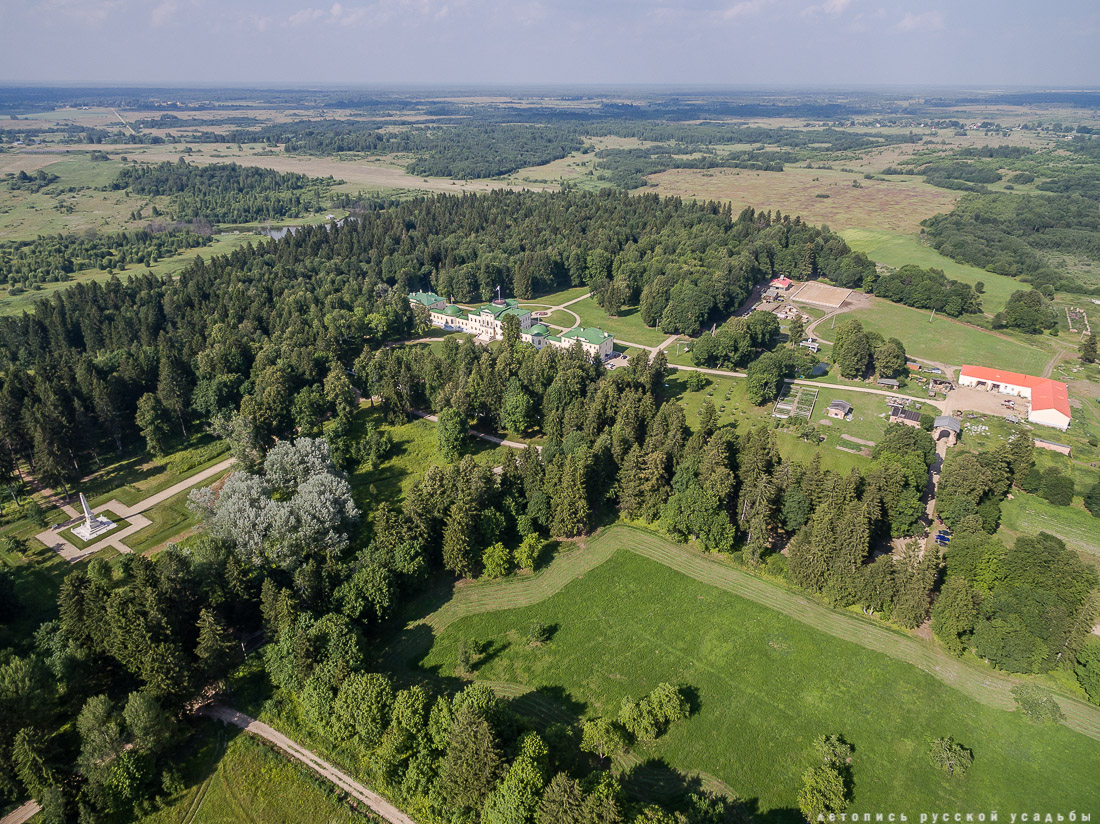 усадьба Степановское-Волосово, фотографии с дрона, шетлендский пони Трамп