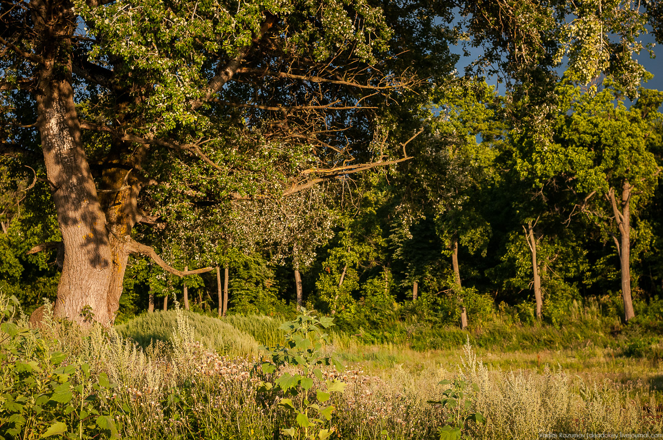 усадьба Колодезское
