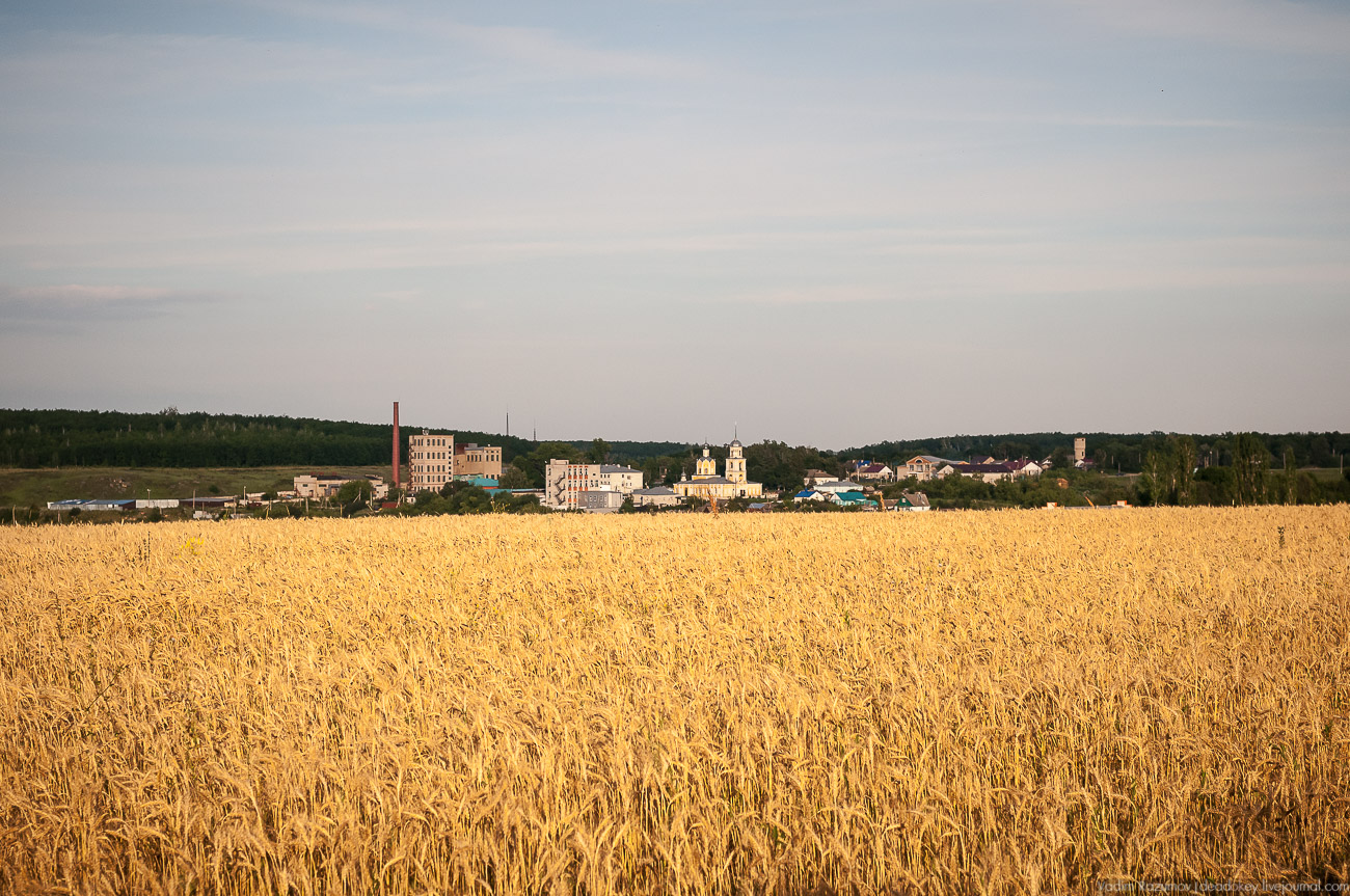 усадьба Воронец