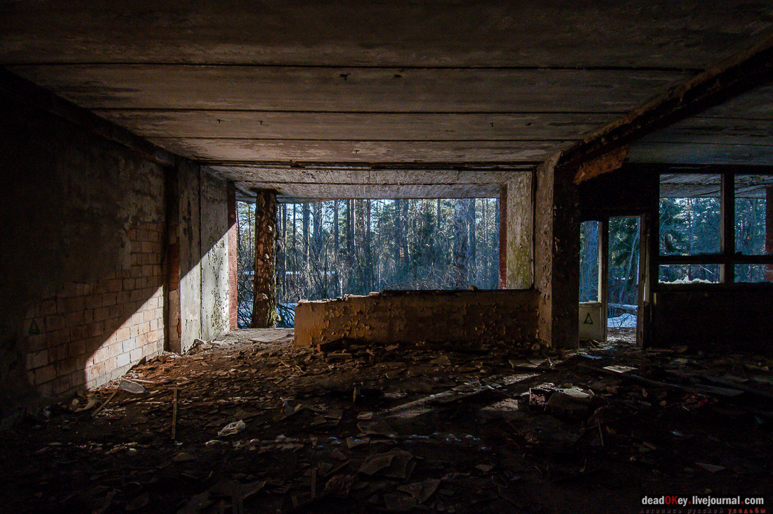 ПИОНЕРСКИЙ ЛАГЕРЬ ДРУЖБА ИМ. А.П. ГАЙДАРА