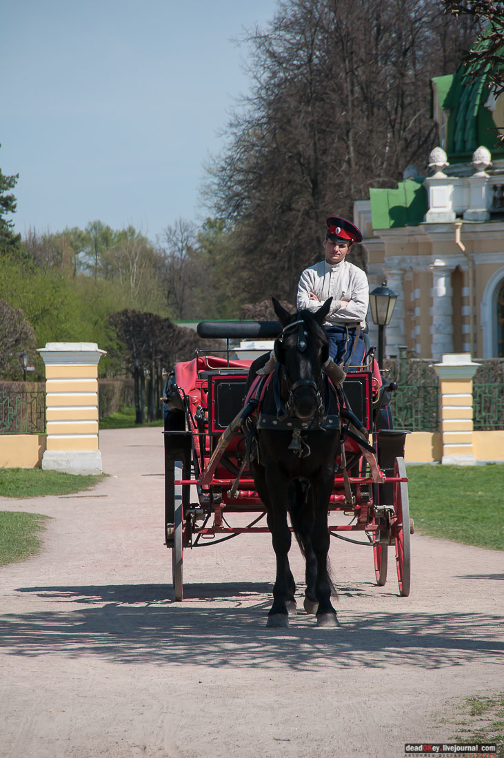 усадьба Кусково