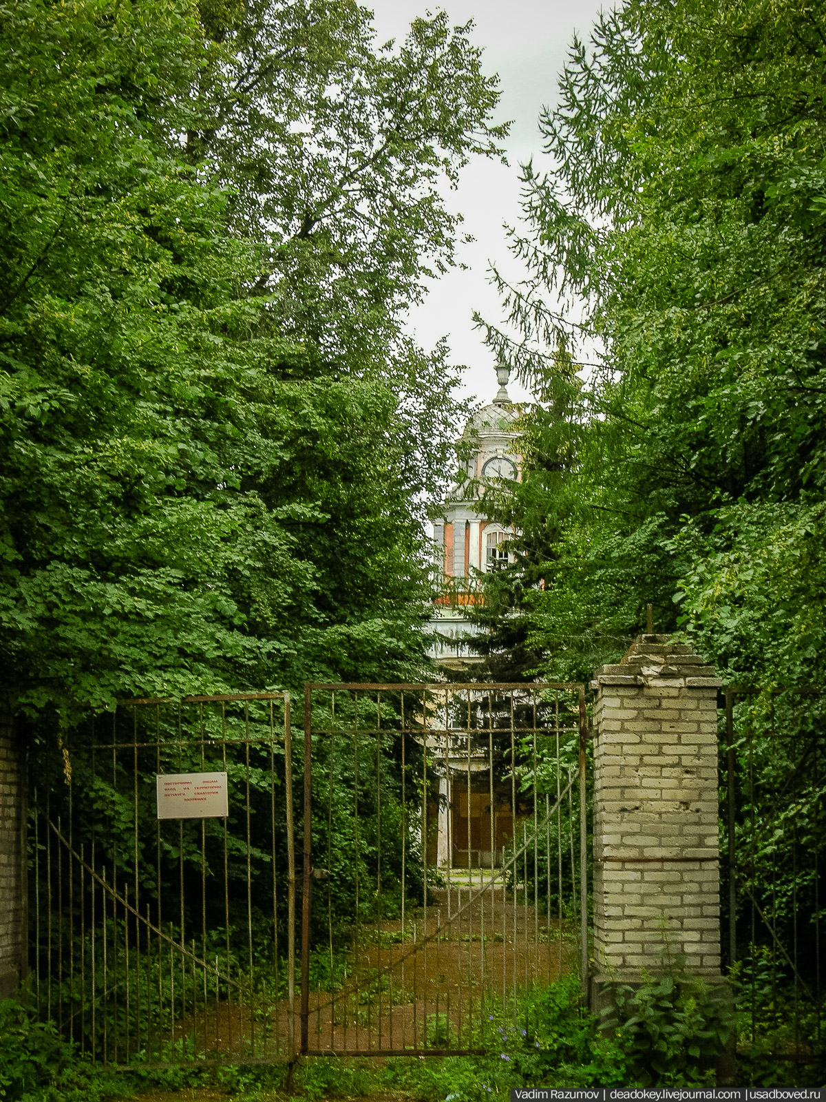 Усадьба Виноградово, Москва, башня дома Германа