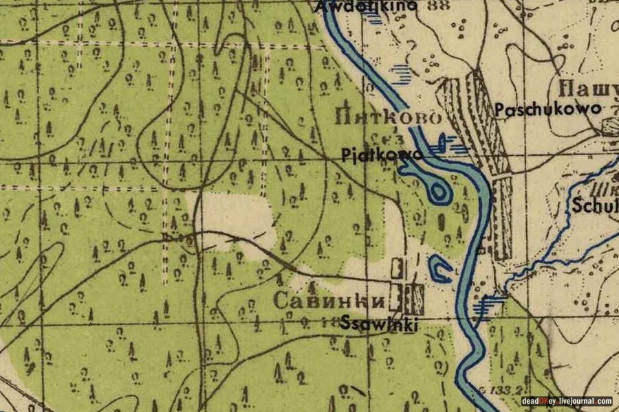 усадьба Савинское