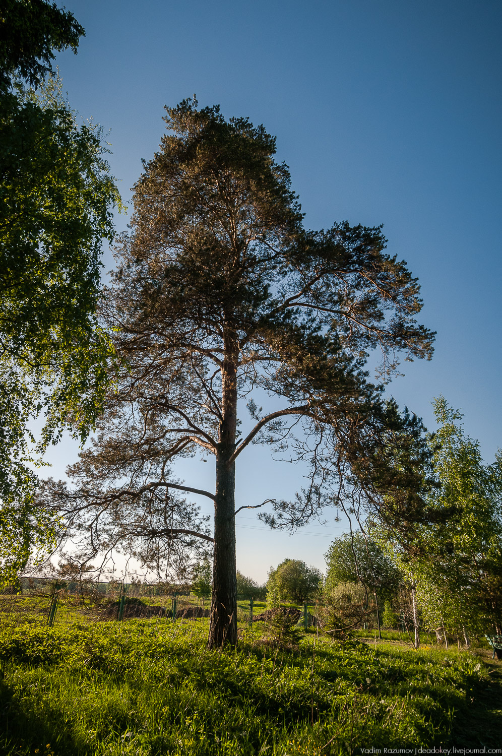усадьба Воронино