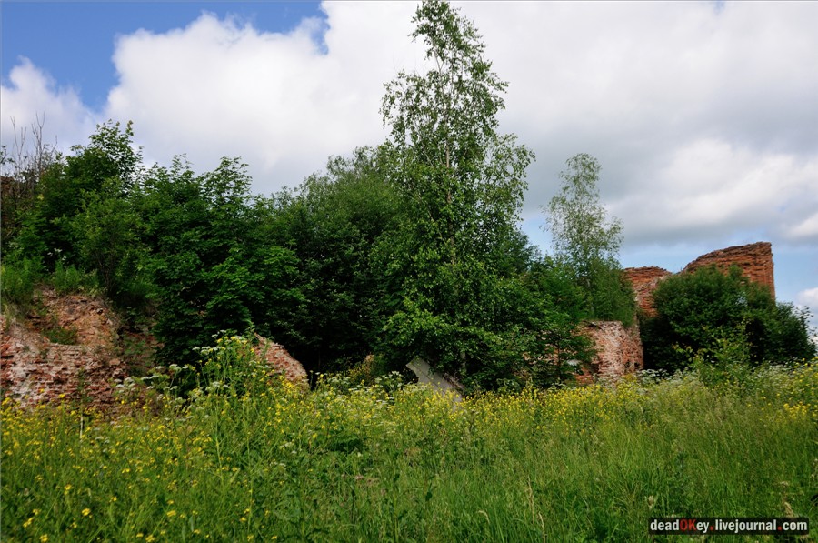 усадьба Ильинское