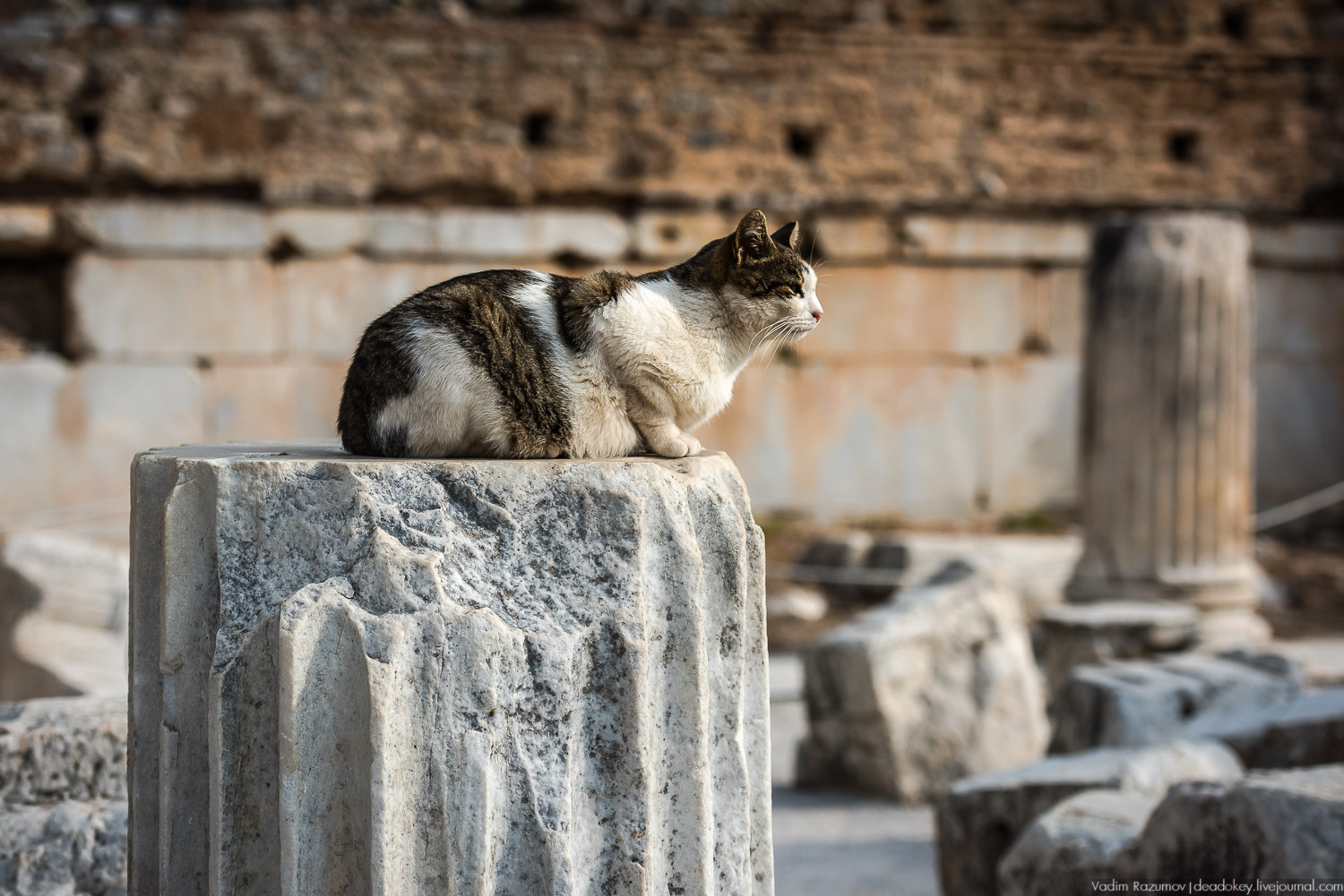 Эфес, античные руины, Турция