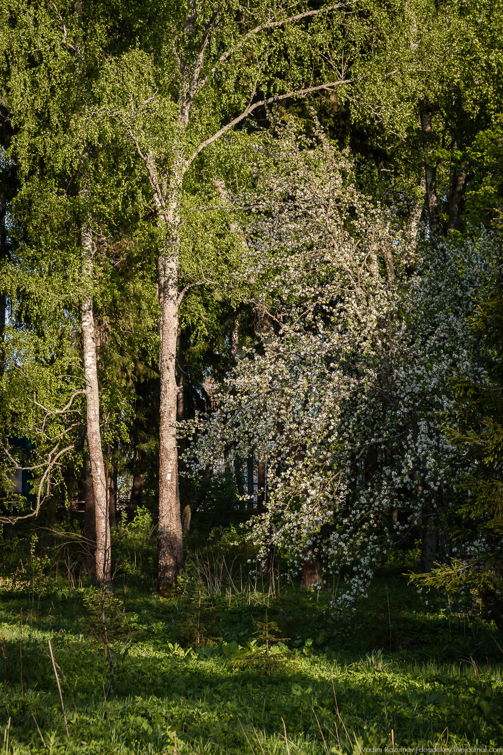 усадьба Воронино