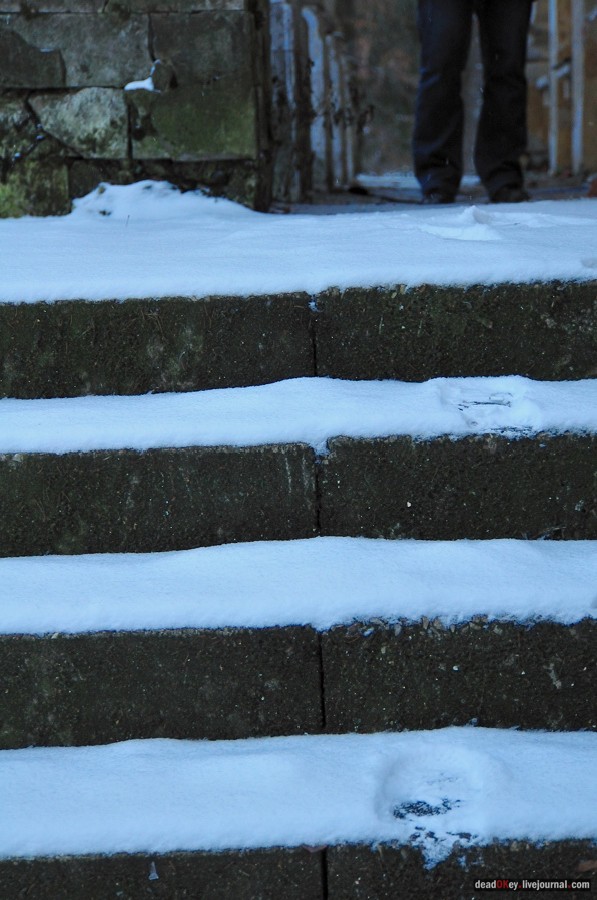 усадьба Медное-Власово