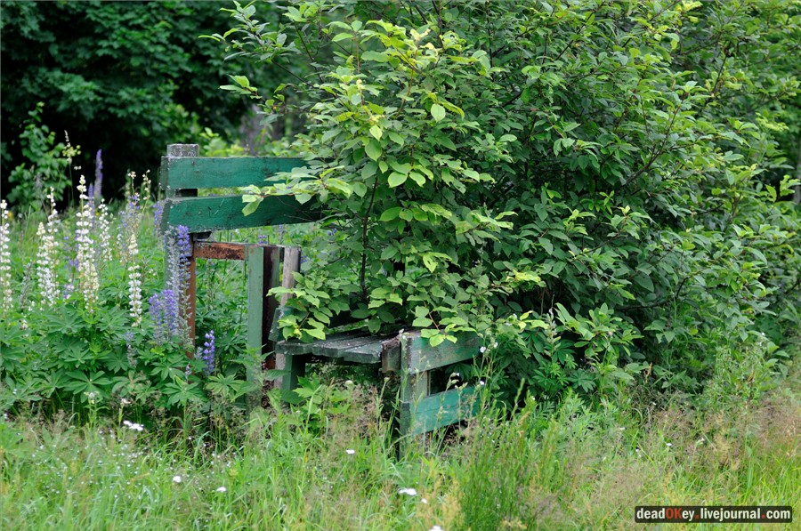 усадьба Паньково