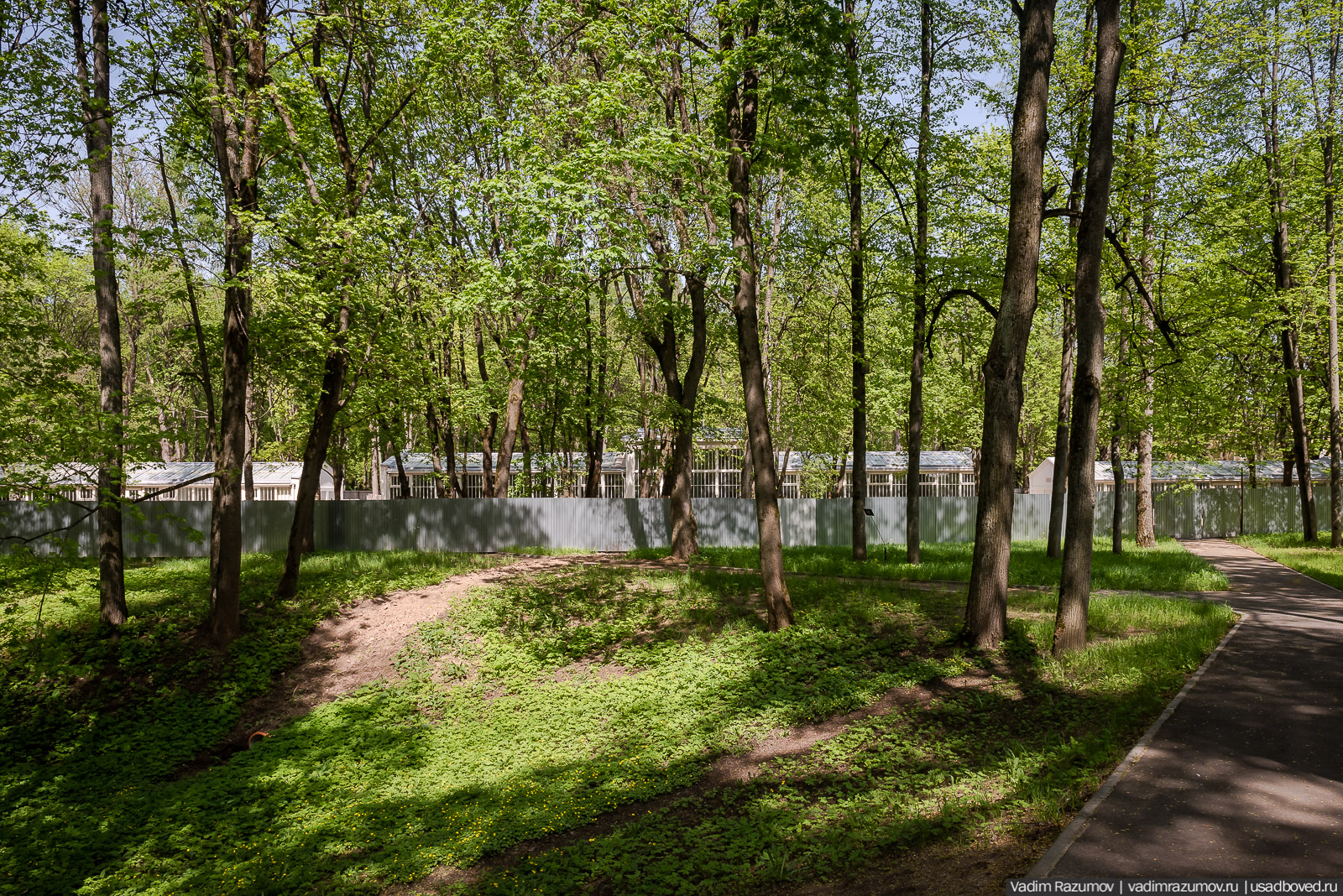 усадьба Архангельское, весна, май 2021