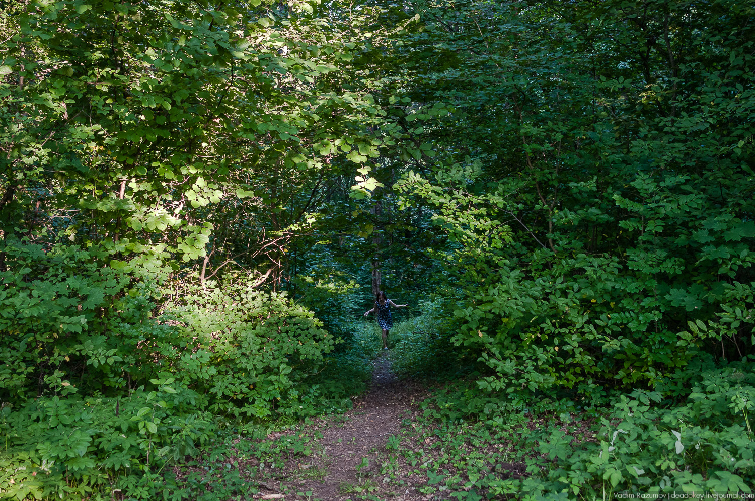 усадьба Никольское-Вяземское, Тульская область