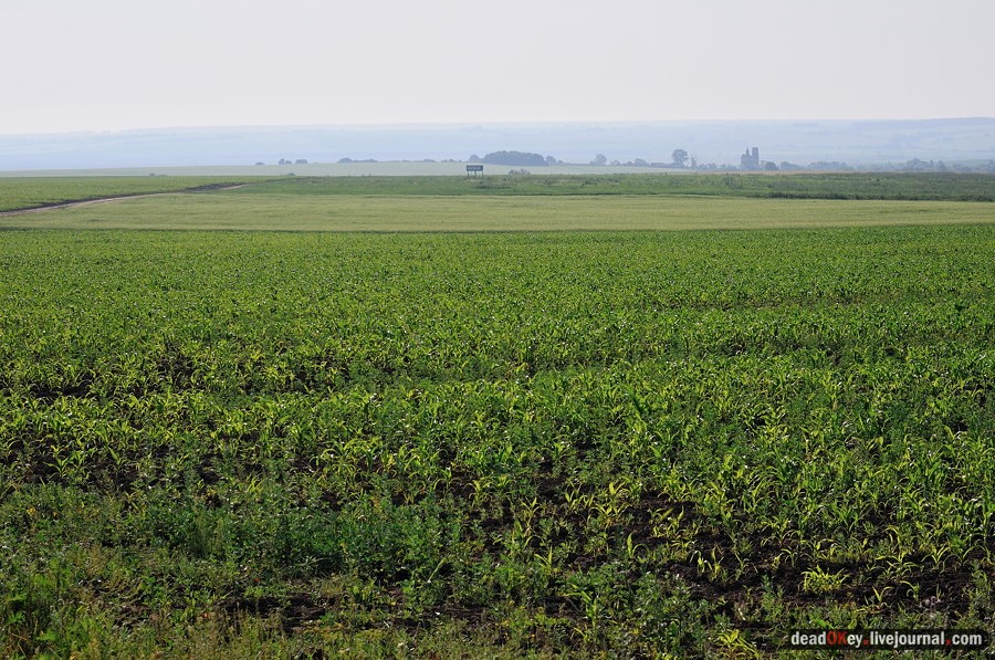 усадьба Подолец
