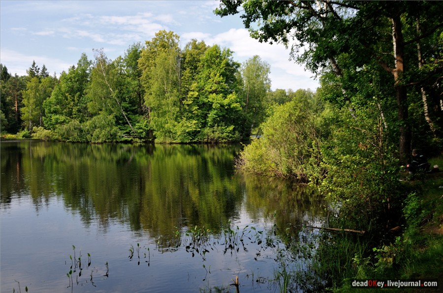усадьба Алмазово