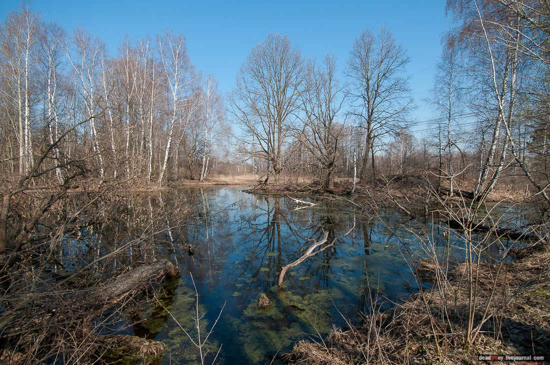 усадьба Савинское (исследование масонского парка)