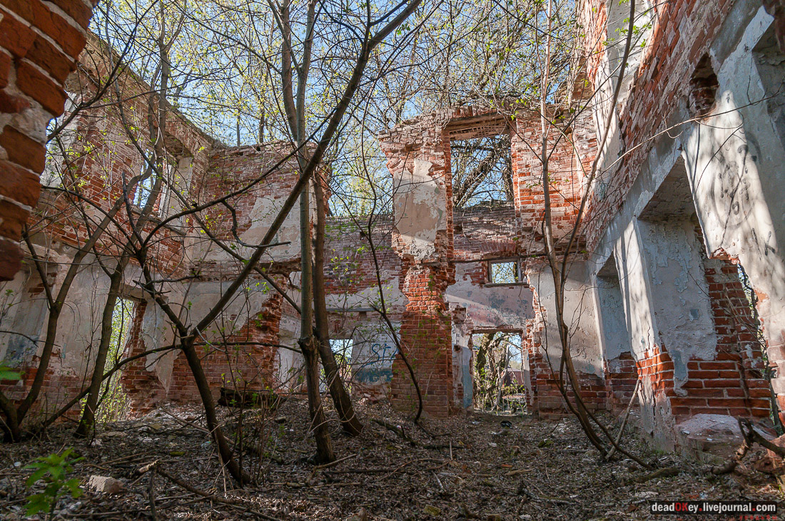 усадьба Зендиково