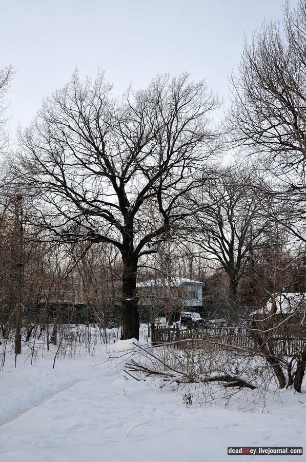 Косино
