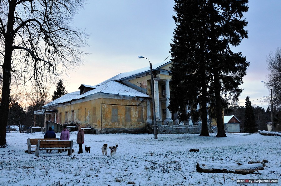 усадьба Медное-Власово