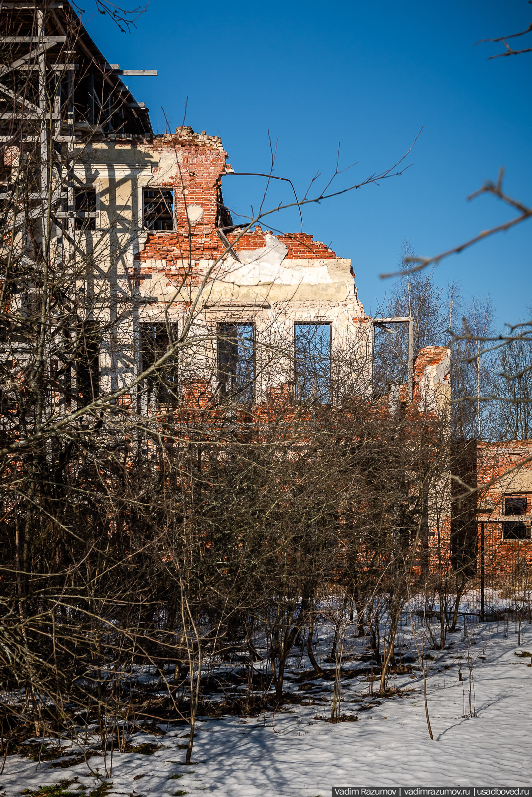 усадьба Гребнево, 2020 год, Андрей Ковалев, реставрация усадьбы