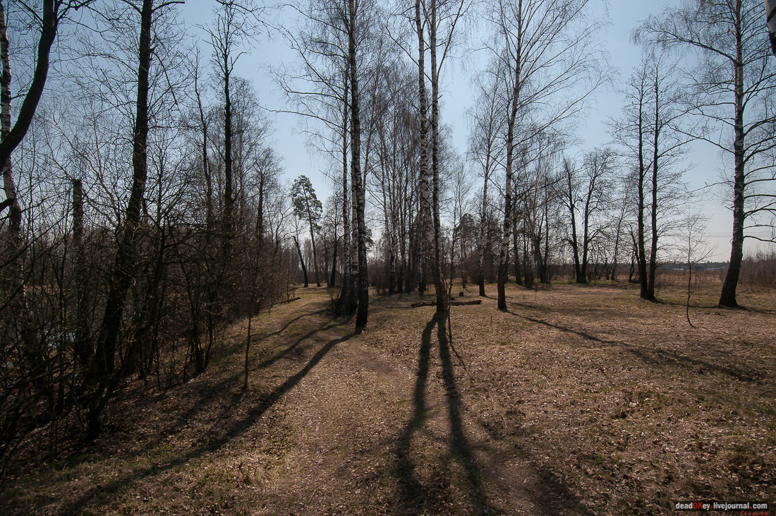 усадьба Савинское (исследование масонского парка)