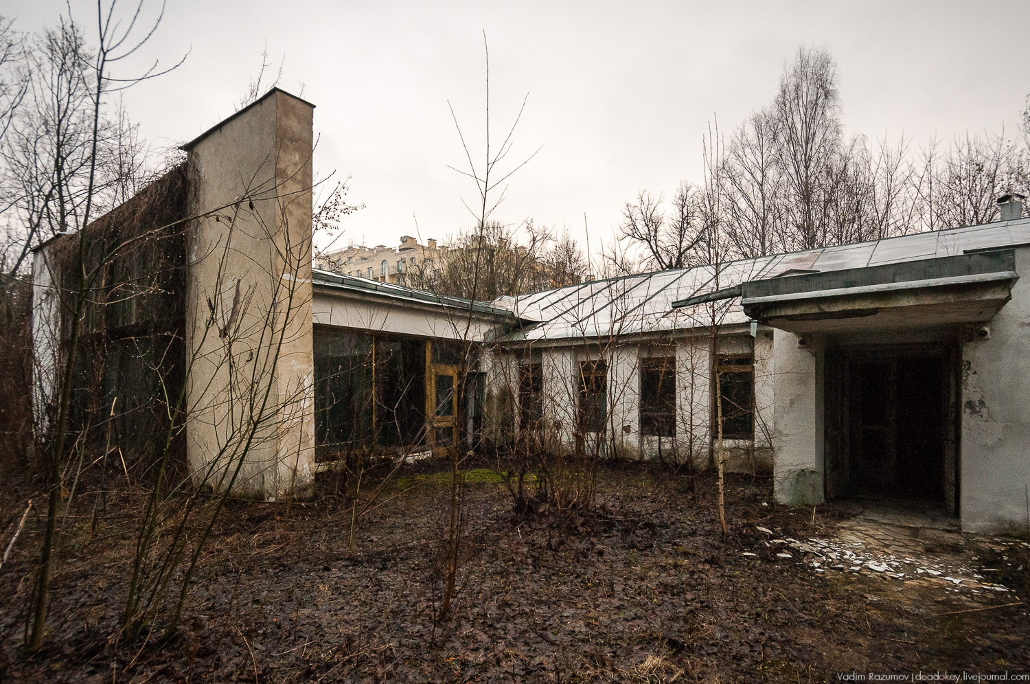 усадьба Петрово (Дурнево, Петрово-Дальнее), Красногорский район, Московская область