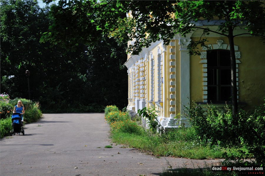 усадьба Глинки Якова Брюса (пансионат Монино)