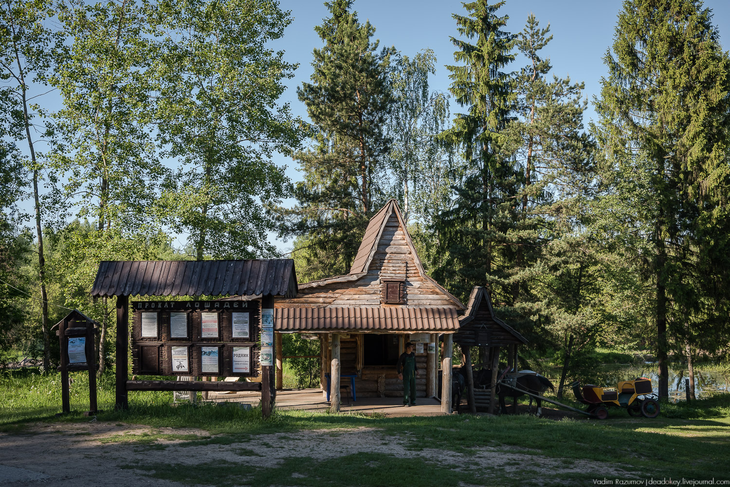 Экоэлектричка. Совиный фестиваль