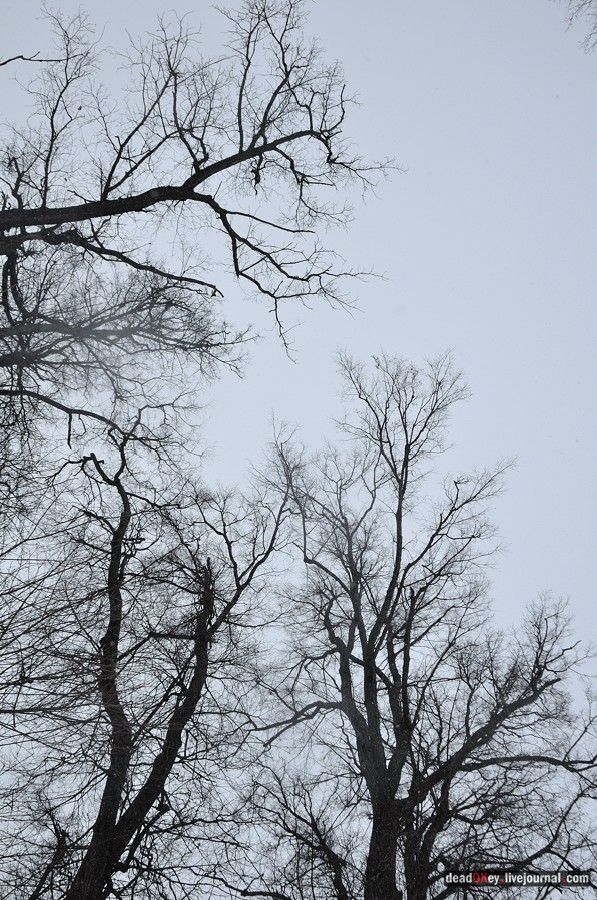 усадьба Марьинка