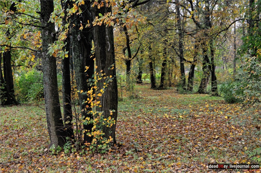 усадьба Марфино