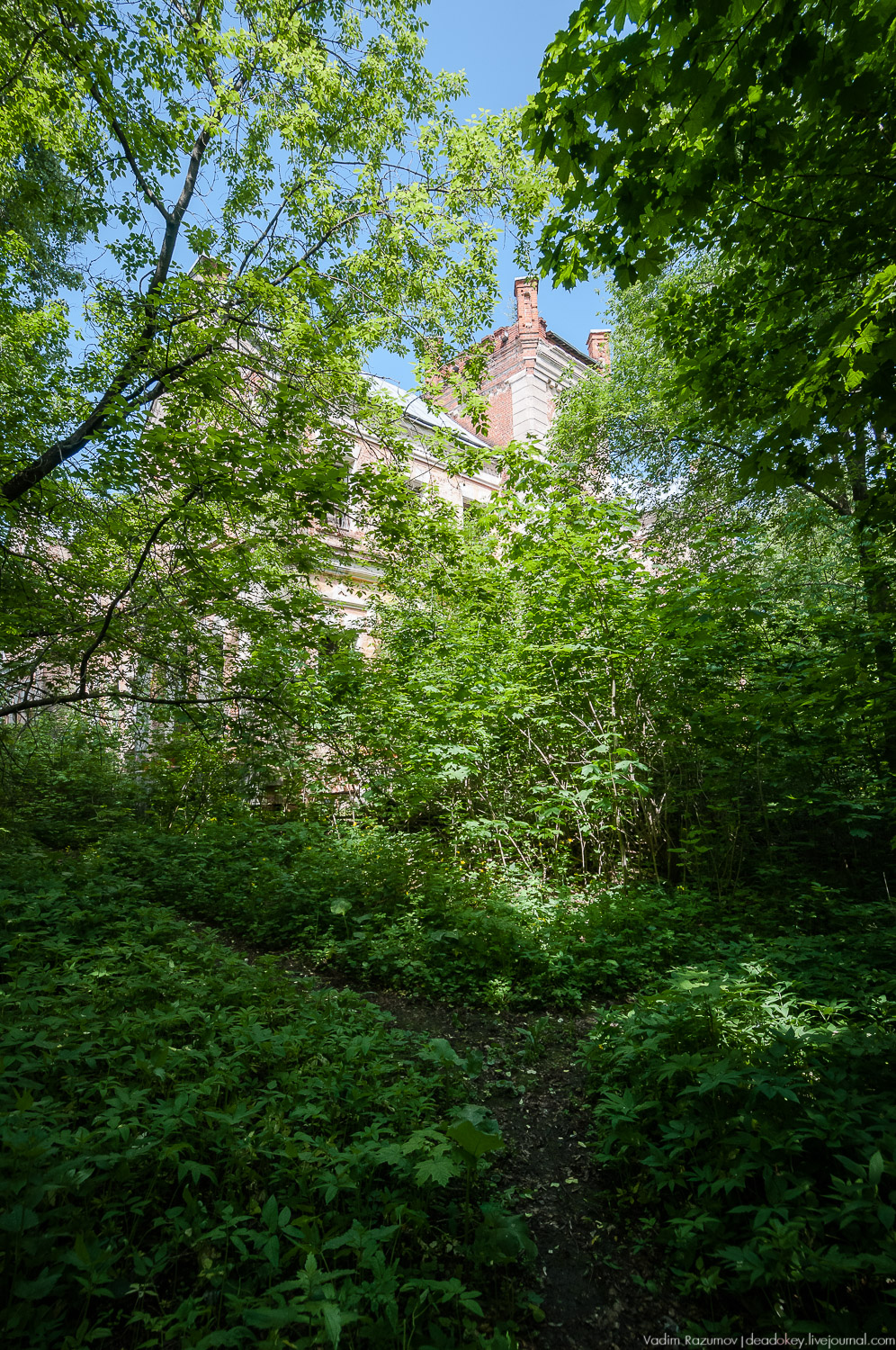 усадьба Хрусловка фон Мекк, Тульская область