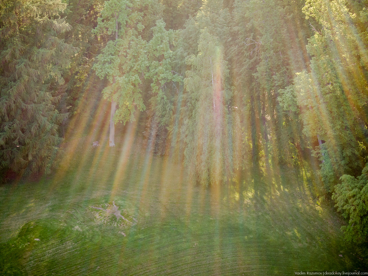 усадьба Валуево с дрона