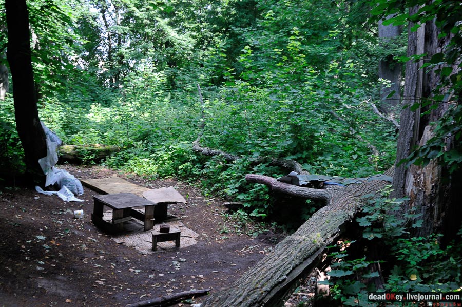 усадьба Городна