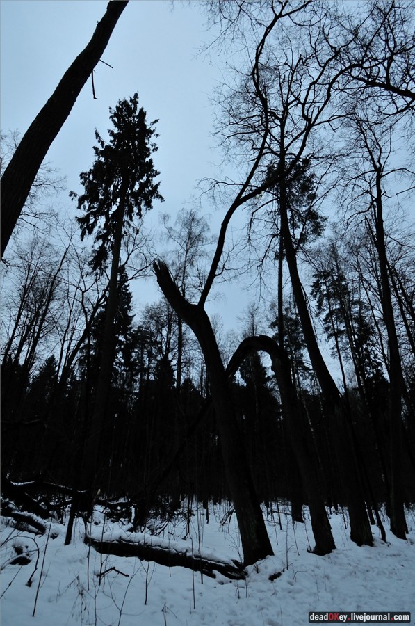 усадьба Пехра-Яковлевское