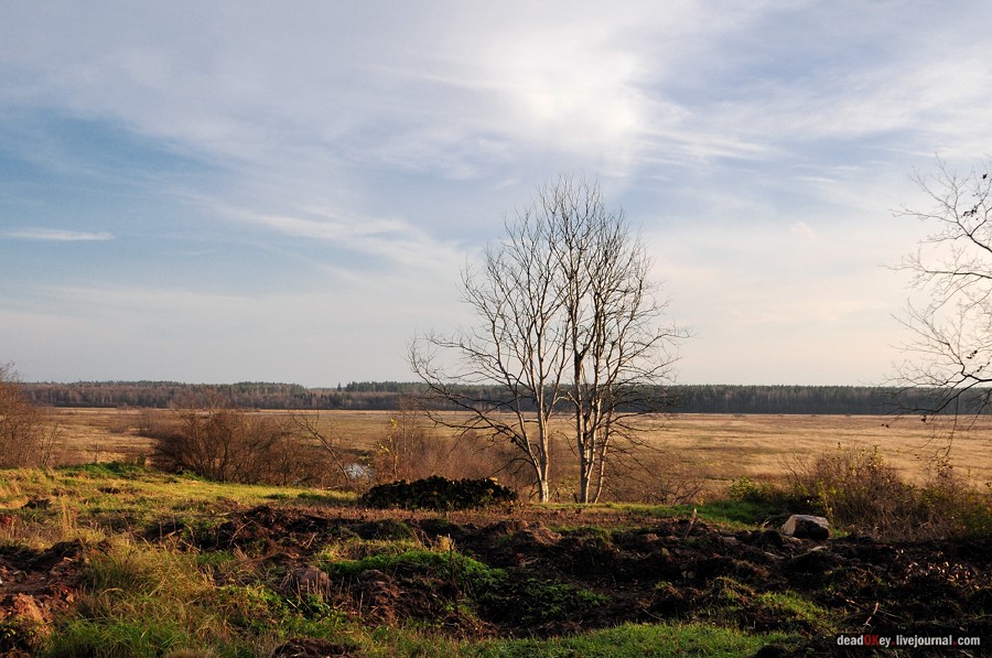 усадьба Бережки