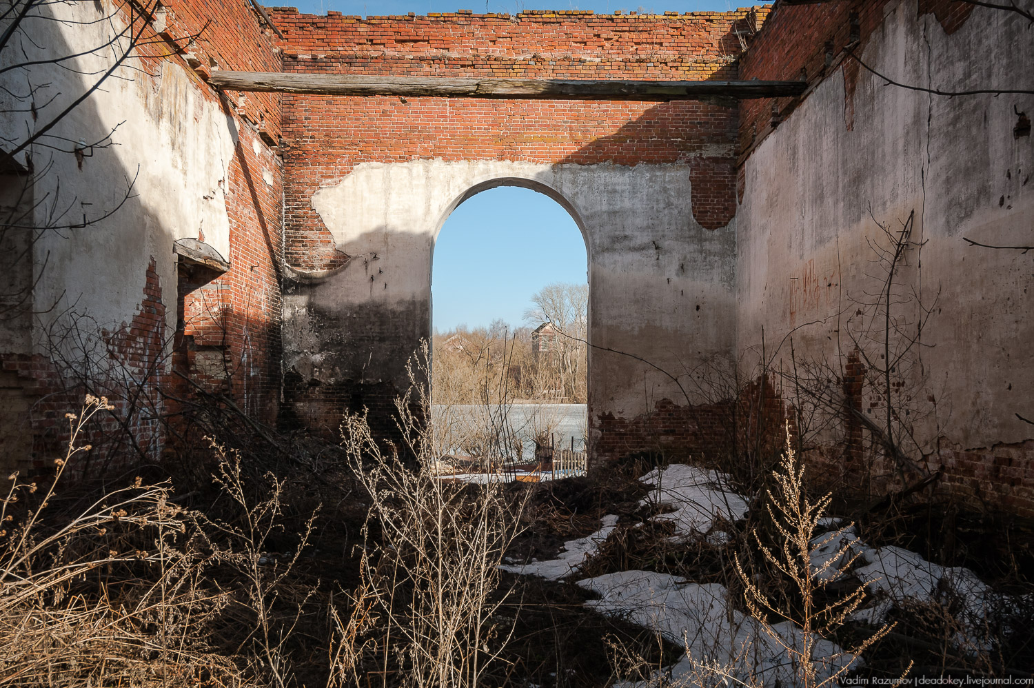 усадьба Соха