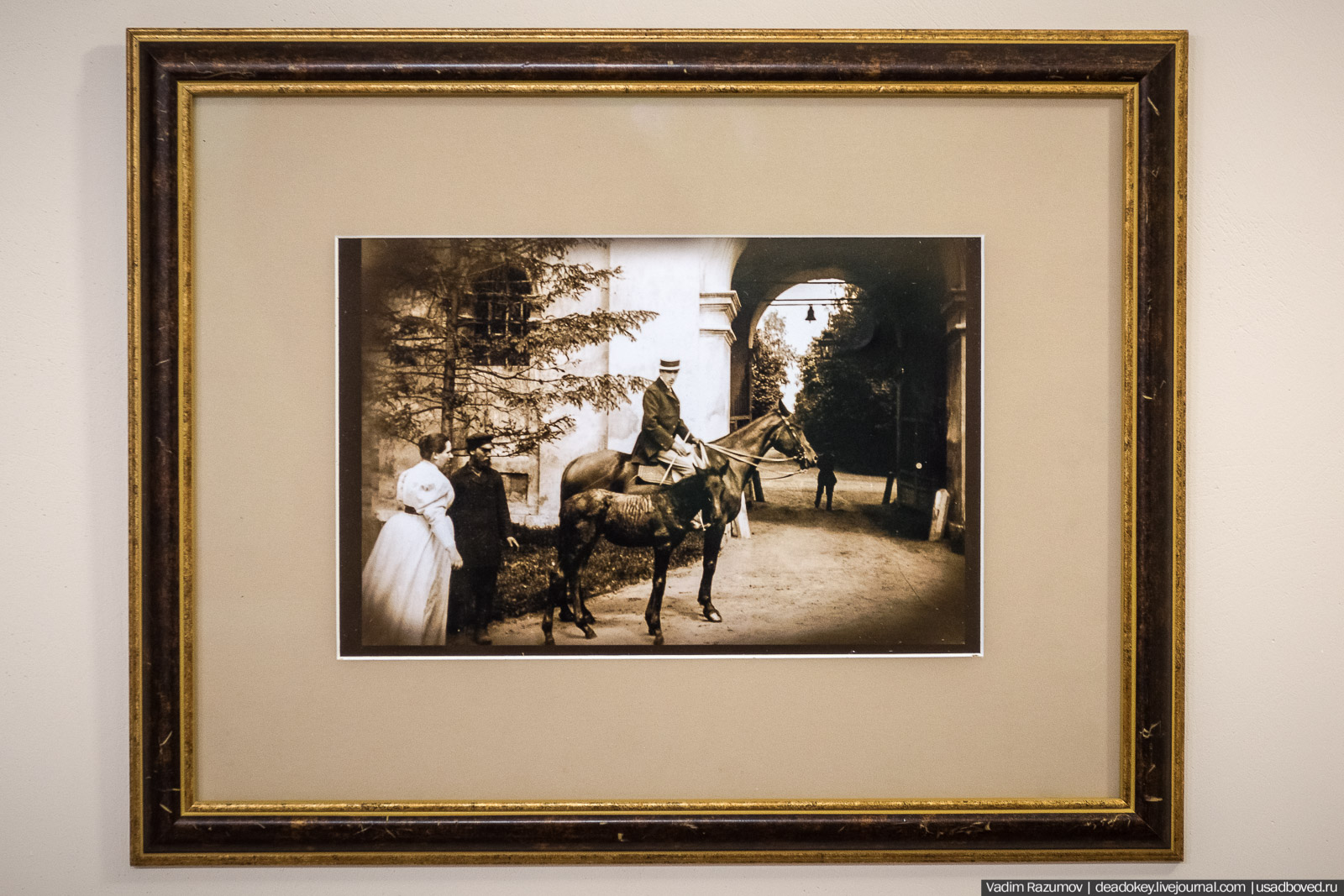 Богородицк. Открытие музея в башне-колокольне