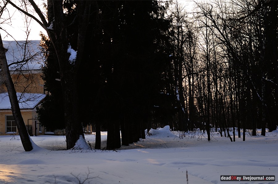 усадьба Андреевское