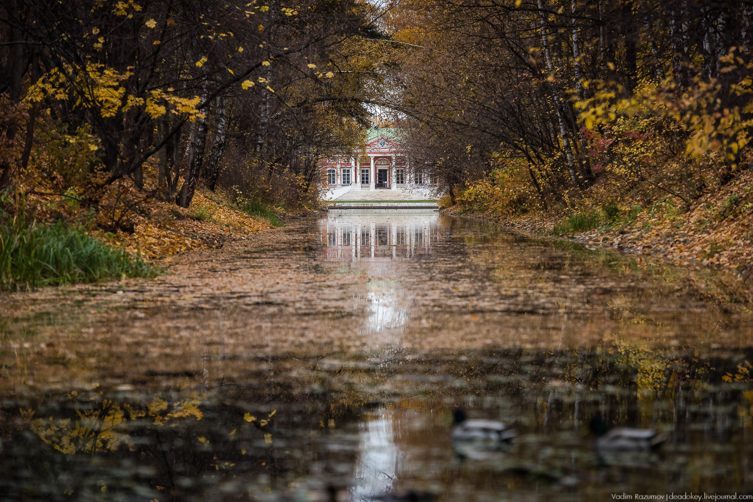 усадьба Кусково, осень 2018 года