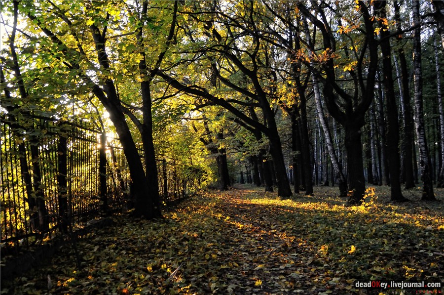усадьба Петровское-Разумовское