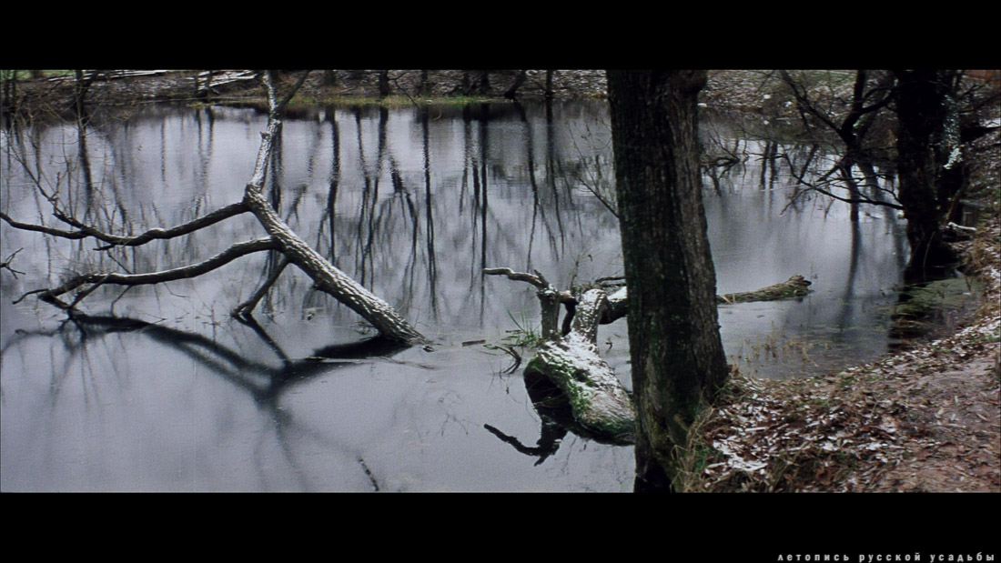 фильм Солярис (1972), Московская обл., г.Звенигород.