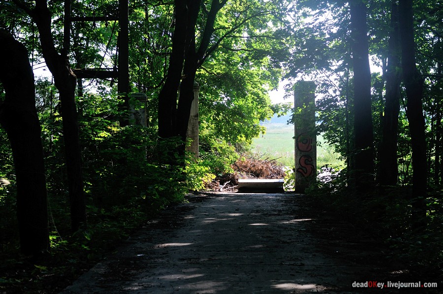 усадьба Шишкино