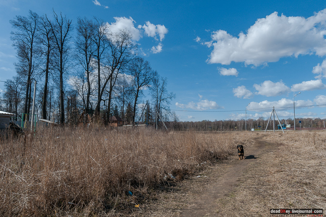 усадьба Дубна