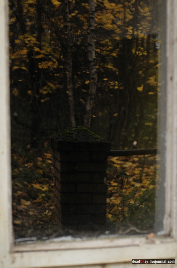 усадьба Жуково