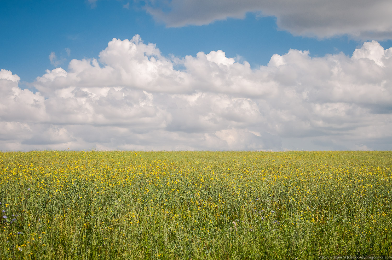 Гремячка, Рязанка, Урусово - тропа Семенова-Тян-Шанского