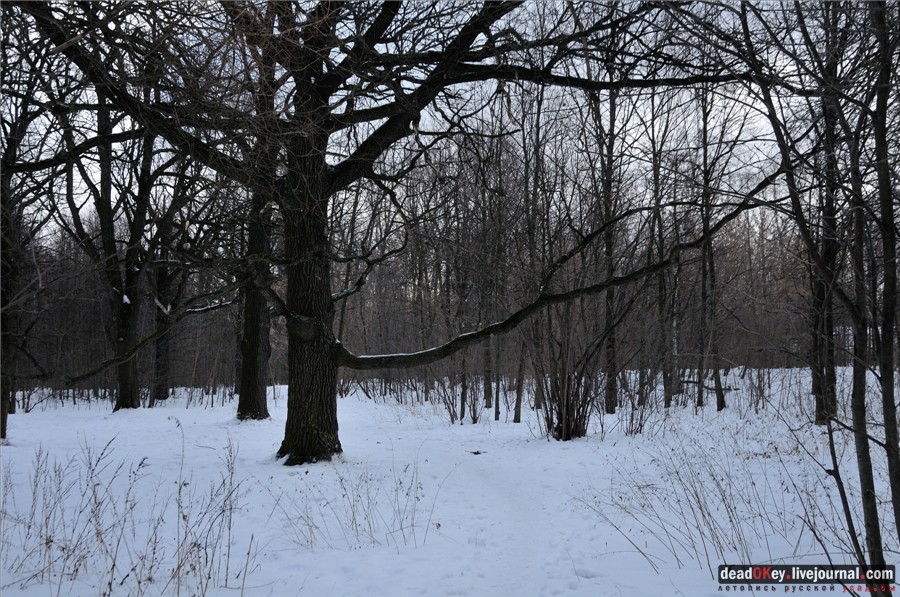  усадьба Гиреево