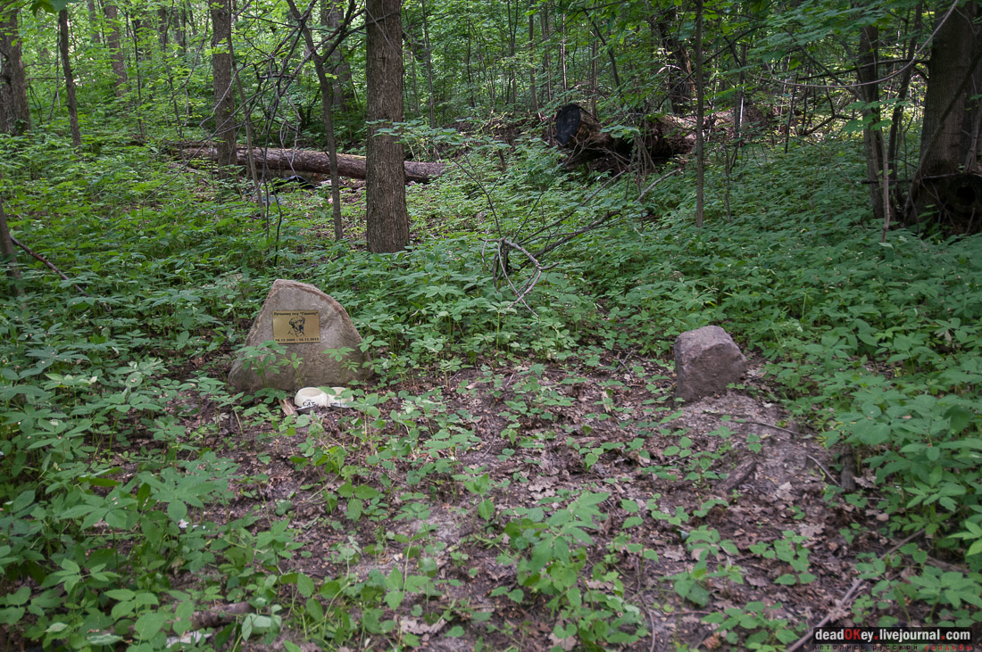 Усадьба Богородское-Кишкино